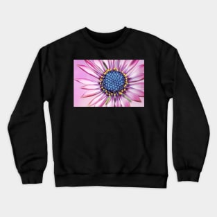 Daisy in Pretty Pink Crewneck Sweatshirt